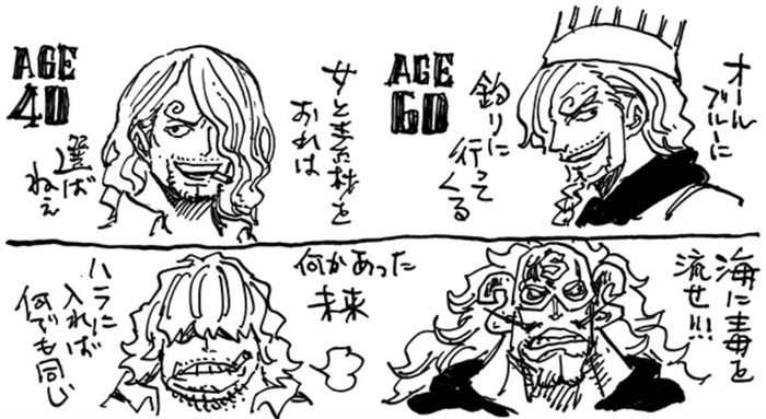 How Old is Sanji