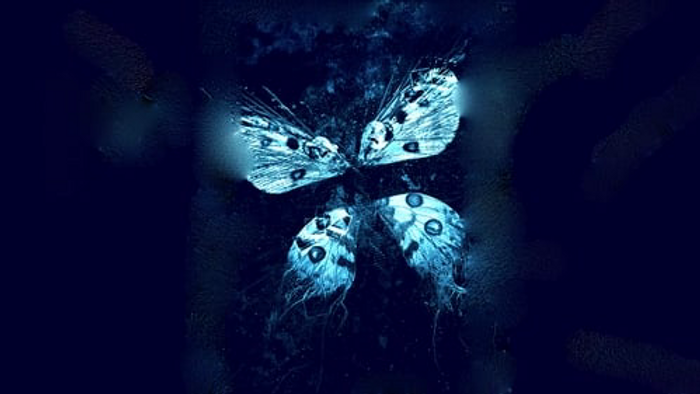 Where To Watch And Stream The Butterfly Effect 3 Revelations Free Online