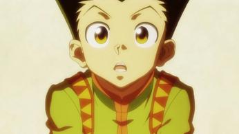 How Different is the Hunter x Hunter Manga Compared to the Anime?