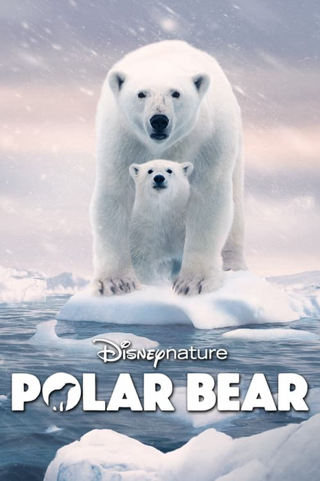 Polar Bear poster