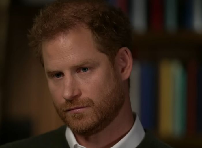 prince-harry-shock-meghan-markles-husband-reportedly-gave-credence-to-conspiracy-theorists-spreading-lies-about-princess-dianas-passing-i-couldnt-comprehend-her-death