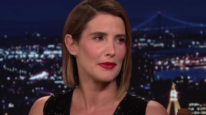 cobie-smulders-net-worth-2022-how-much-is-the-mcu-star-worth-today-after-how-i-met-your-mother-agents-of-shields-success