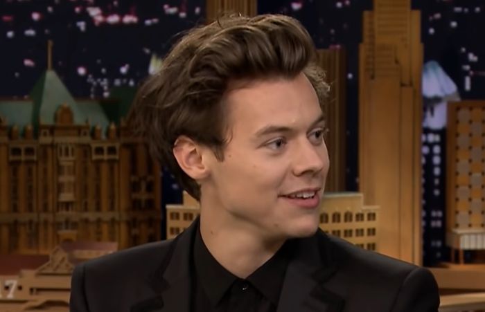 harry-styles-needs-to-warn-the-women-he-dates-about-his-fans-possible-reactions-to-their-relationship-singers-girlfriend-olivia-wilde-doesnt-think-his-fans-are-defined-by-hateful-energy