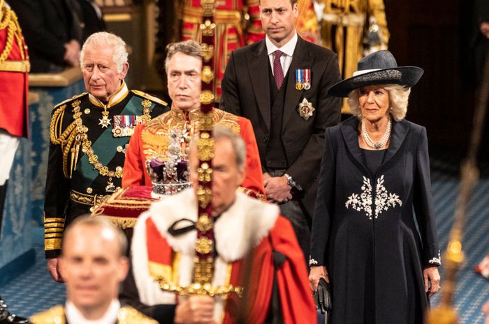 prince-william-shock-queen-elizabeths-grandson-almost-invisible-when-he-joined-prince-charles-camilla-at-state-opening-of-parliament