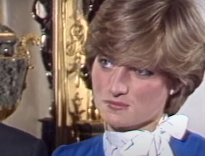 princess-diana-heartbreak-princess-of-wales-thought-prince-harry-would-be-prince-williams-wingman-late-royal-would-reportedly-be-mortified-by-her-sons-feud