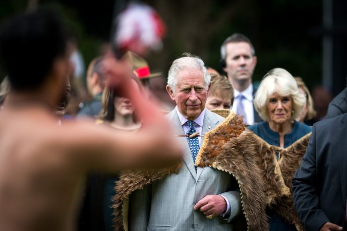prince-charles-camilla-parker-bowles-shock-royal-couple-doing-everything-to-look-younger-and-less-worn-out-cornwall-pair-reportedly-preparing-for-coronation-amid-queen-elizabeth-frail-health