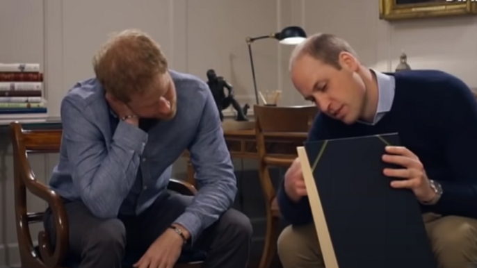 are-prince-harry-and-prince-william-speaking