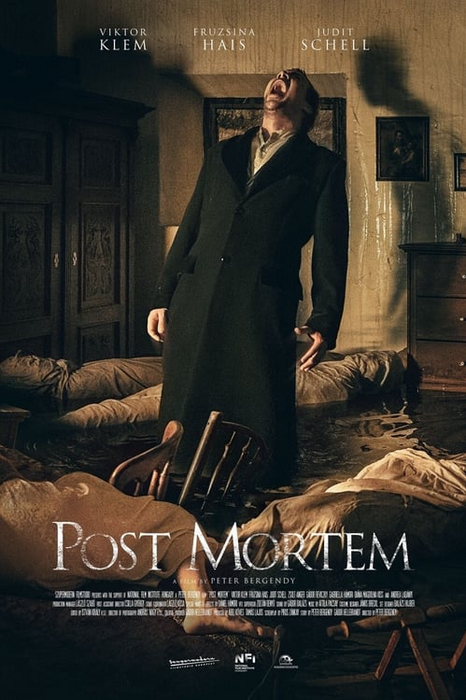 Post Mortem poster