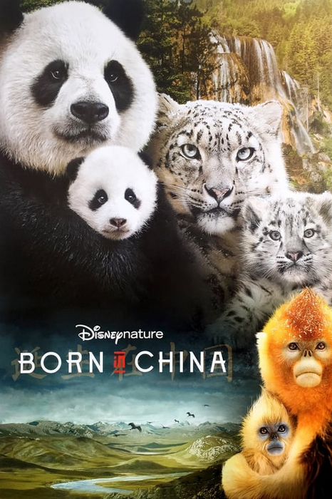 Born in China poster