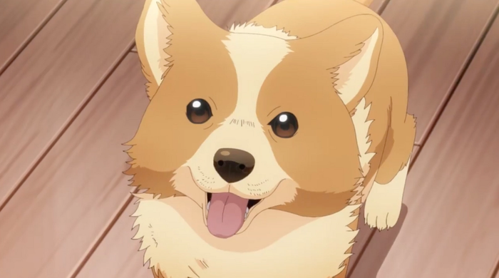 My Life as Inukai-san's Dog Episodio 4 Fecha de lanzamiento Pochita
