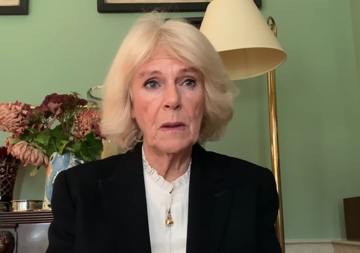 camilla-parker-bowles-shock-duchess-of-cornwall-reportedly-referenced-her-affair-with-prince-charles-in-new-interview