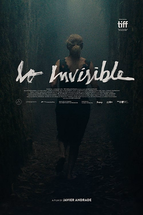 Lo Invisible poster