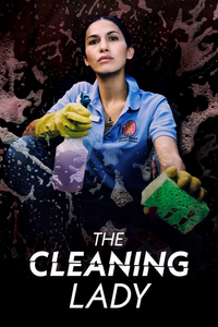 where to watch season 1 of the cleaning lady