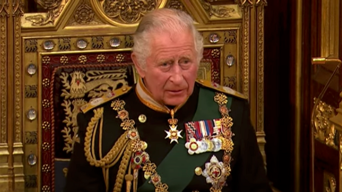 prince-charles-shock-prince-of-wales-complained-to-wife-camilla-at-state-opening-of-parliament-future-king-and-queen-consort-were-anxious-and-nervous-body-language-expert-judi-james-claims