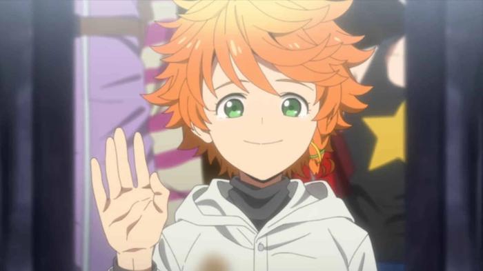 How Are OVAs Different From Specials the promised neverland