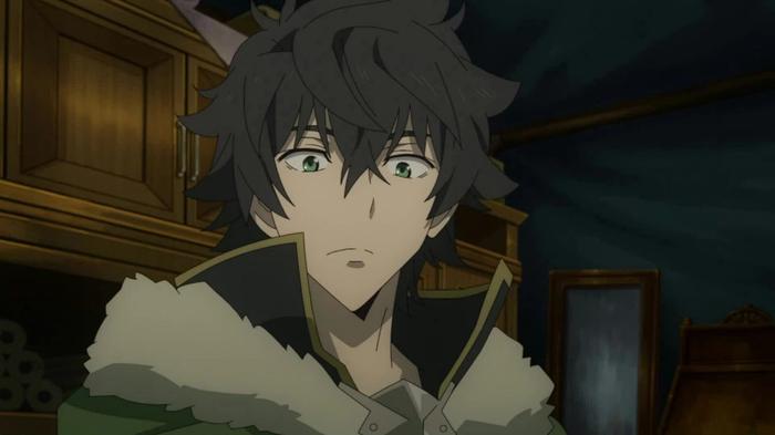 Does Naofumi Return to His World in The Rising of the Shield Hero Light Novel?