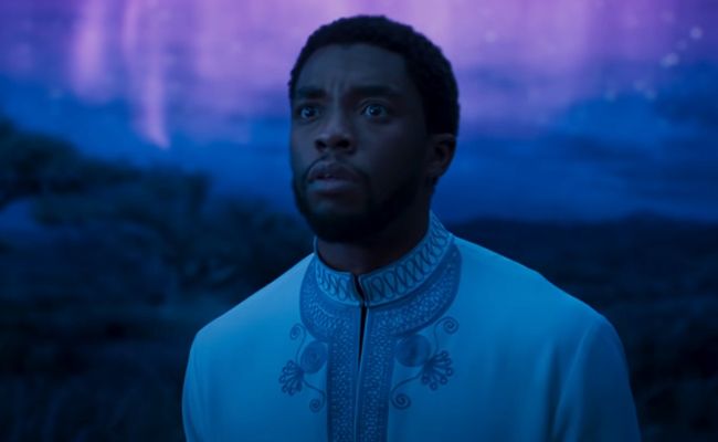 Chadwick Boseman's Brother Speaks Up On T'Challa's Recast in Black Panther 2