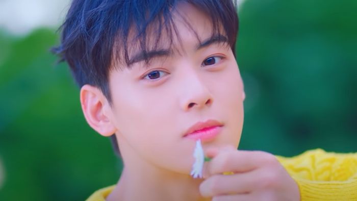 Cha Eun Woo New Kdrama Series: Island Release Date, Cast Members, and ...