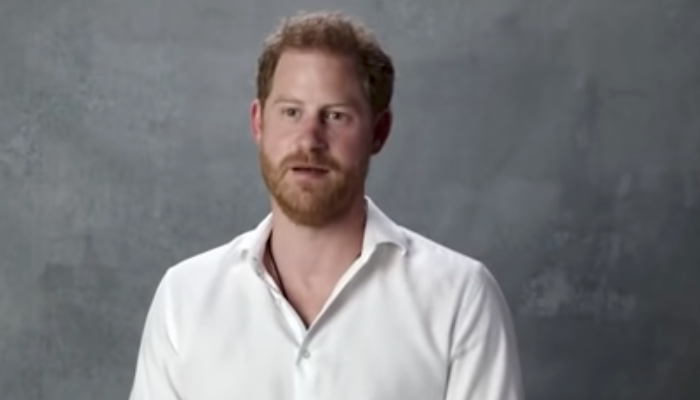 prince-harry-shock-duke-of-sussex-slammed-after-mentioning-immediate-line-of-succession-amid-police-protection-legal-battle