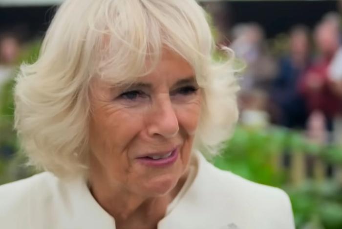 queen-consort-camilla-shock-prince-harry-claims-king-charles-wife-leaked-stories-to-the-press-as-part-of-her-long-term-strategy-to-her-marriage-the-crown


