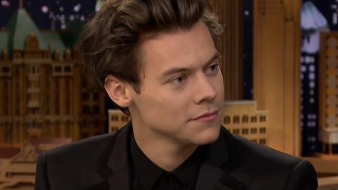 harry-styles-needs-to-warn-the-women-he-dates-about-his-fans-possible-reactions-to-their-relationship-singers-girlfriend-olivia-wilde-doesnt-think-his-fans-are-defined-by-hateful-energy