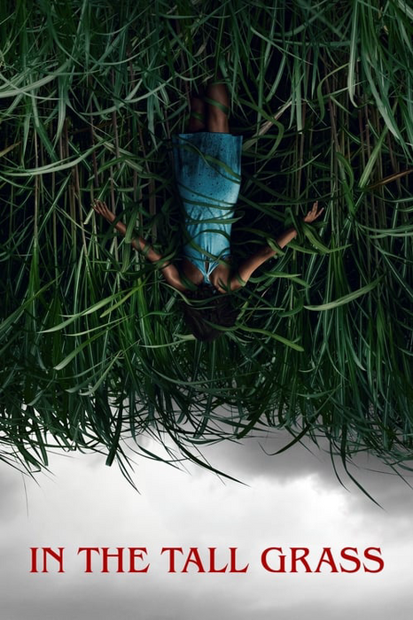 In the Tall Grass poster