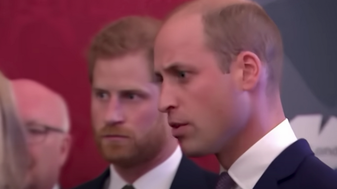 did-prince-harry-turn-out-to-be-prince-williams-hitman-instead-of-wingman-heres-what-the-expert-says
