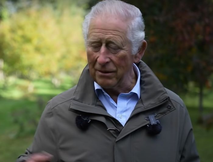 prince-charles-heartbreak-prince-harrys-dad-hurt-that-his-son-didnt-defend-him-amid-racist-allegations-hopes-for-reconciliation