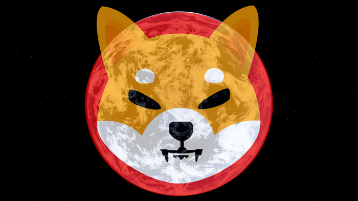 Shiba Inu Coin logo on top of a world from space
