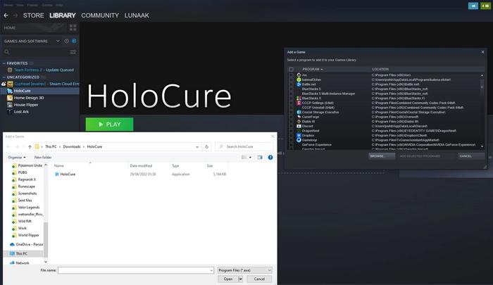 Adding HoloCure Steam support manually.