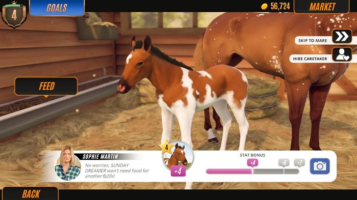 Image of a race horse in the stables in Rival Stars Horse Racing: Desktop Edition