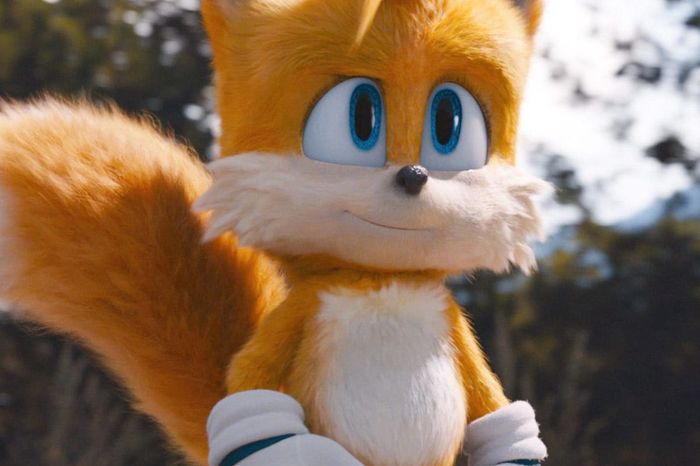 Tails from Sonic the Hedgehog movie.