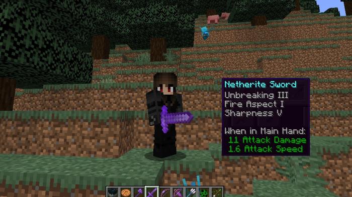 A Minecraft player holding a sword. 