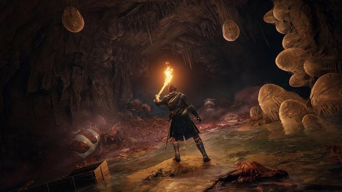 Elden Ring. Character is standing at the mouth of a cave filled with large eggs while holding a fire-lit torch above their head.