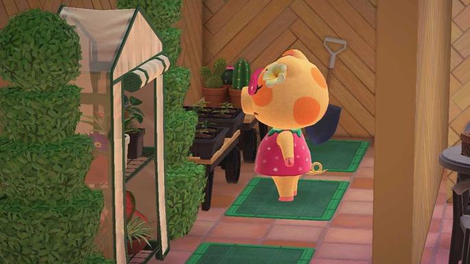 Animal Crossing New Horizons Happy Home Paradise Character in Garden Room by Partition Wall