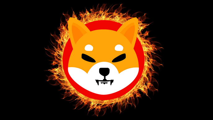 Shiba Inu Logo around a burning portal