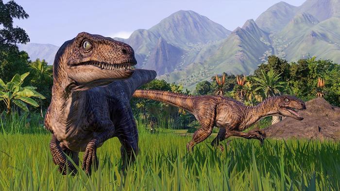 Jurassic World Evolution 2 Two Velociraptors roaming around in the wild. One Velociraptor is in the foreground looking at the camera. The second Velociraptor is stalking something in the background.