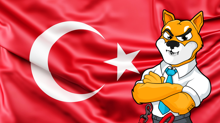 Shiba Inu mascot in front of Turkey flag, after a SHIB community met with a Turkish politician.