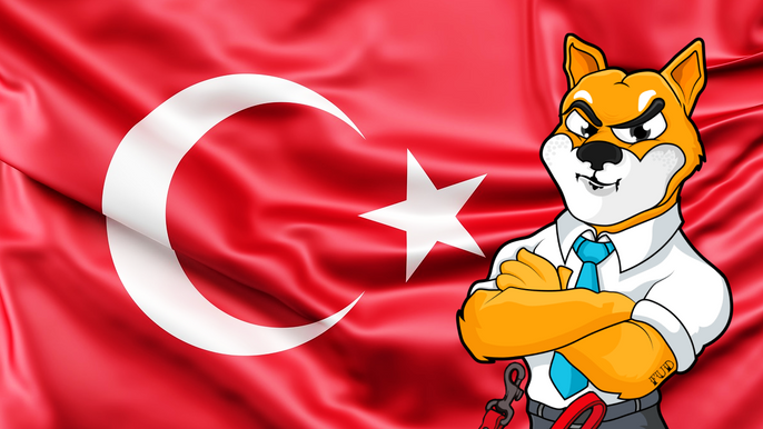 Shiba Inu mascot in front of Turkey flag, after a SHIB community met with a Turkish politician.