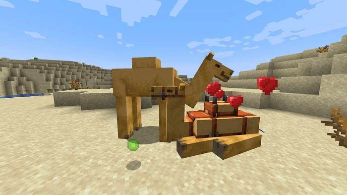Two Minecraft camels, one sat, one stood, with hearts and exp points