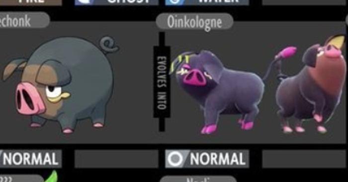 Lechonk and Oinkologne in Pokemon Scarlet and Violet