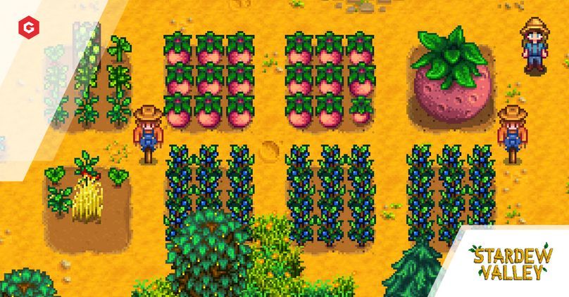 how to stardew valley best greenhouse setup