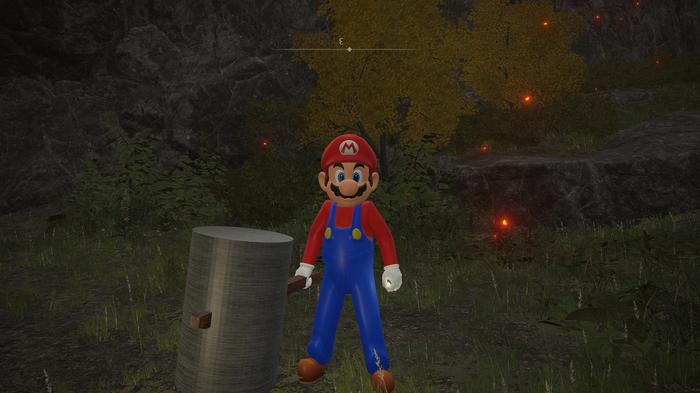 An image of Mario in Elden Ring.