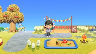 Animal Crossing New Horizons Nature Day: Date, Start Time, Items, Leif &  More