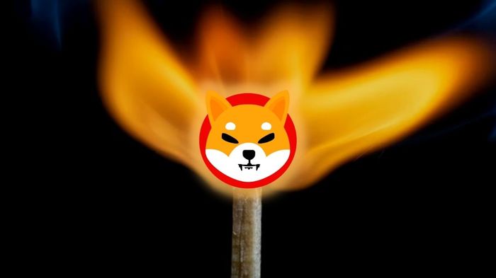 Shiba Inu logo on a lit match burning.