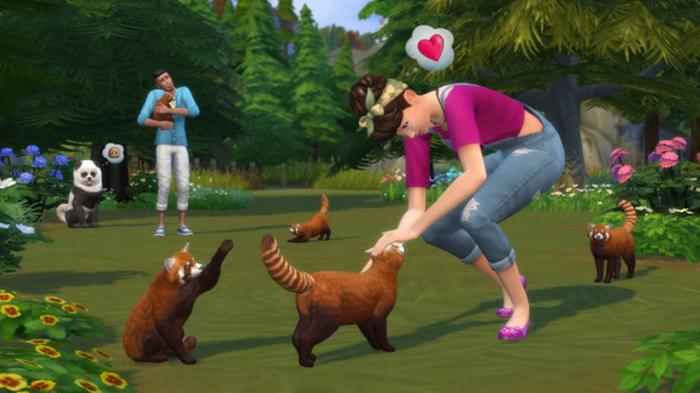Sims 4 Cats and Dogs. A sim petting a red panda (it's actually a Cat)