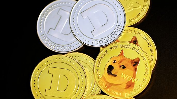 dog coins vs bitcoins definition