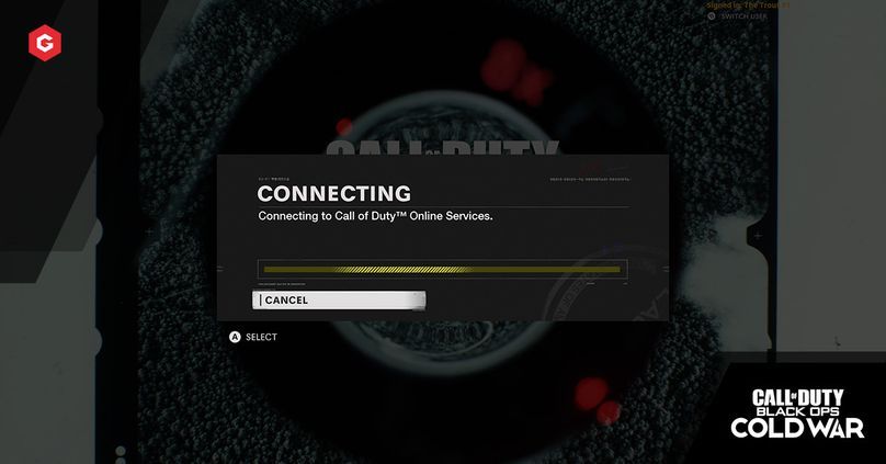 call of duty cold war pc servers
