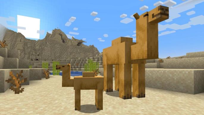 Two camels in Minecraft 1.20