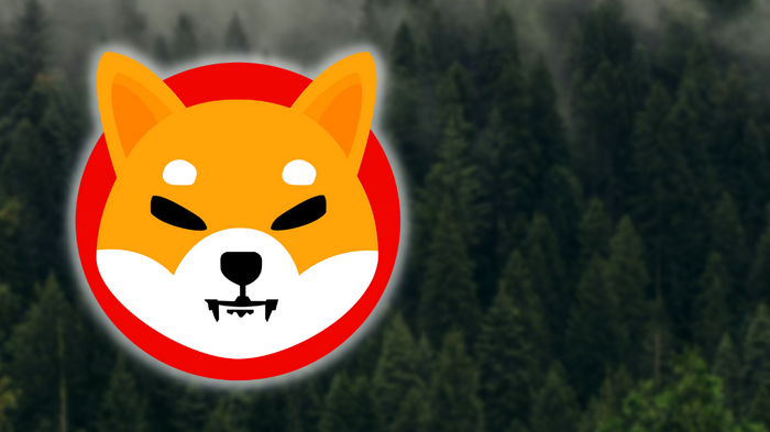 Image of Shiba Inu logo against a blurred green background of a forest of trees.